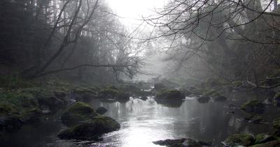 194 EARLY MORNING CLYWEDOG copy.jpg